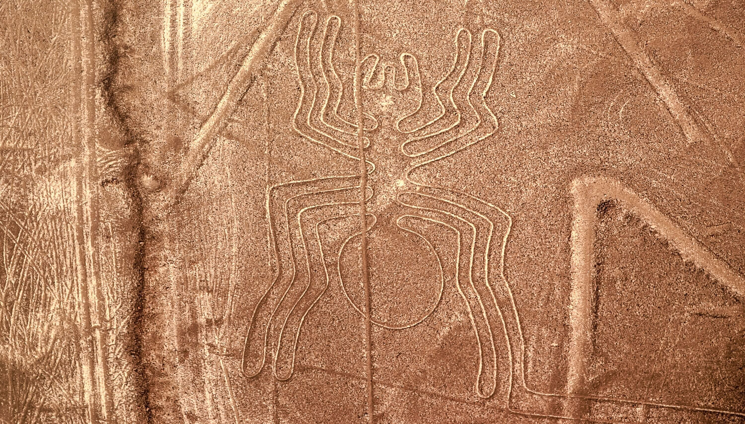 nazca lines peru golden